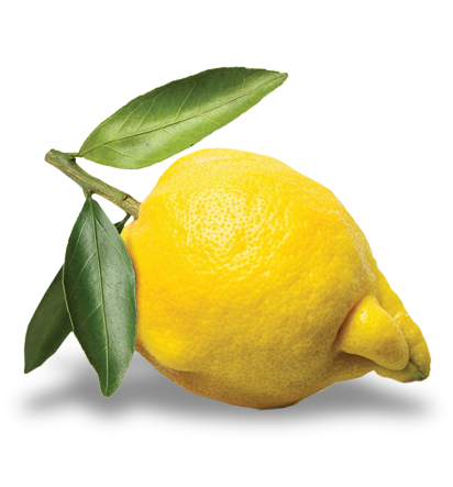 limon destrio foraviler